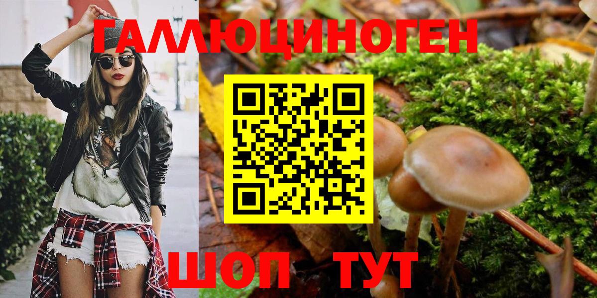Псилоцибиновые грибы MAGIC MUSHROOMS  Вход с VPN  Саянск 
