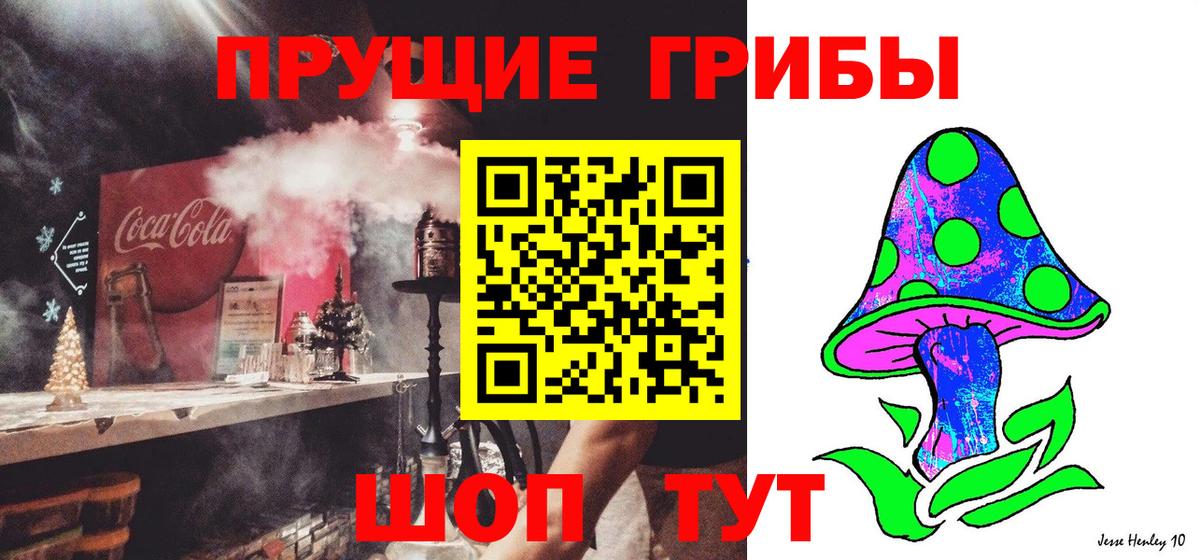 Галлюциногенные грибы Cubensis Саянск